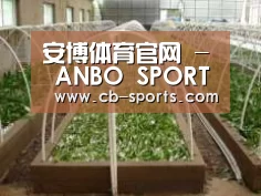 环境展示五