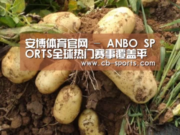 种植基地六