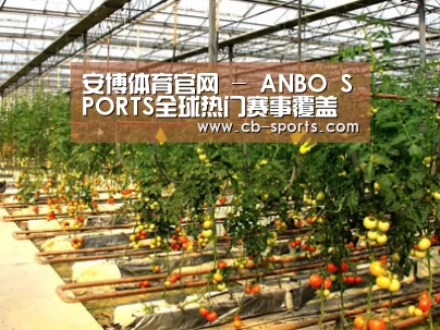 种植基地二