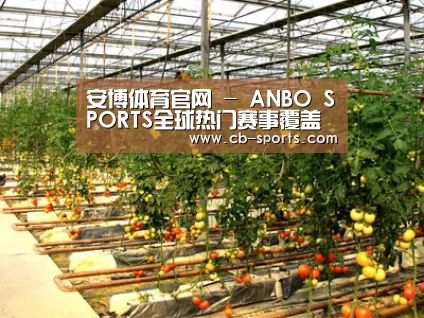 种植基地二(图1)